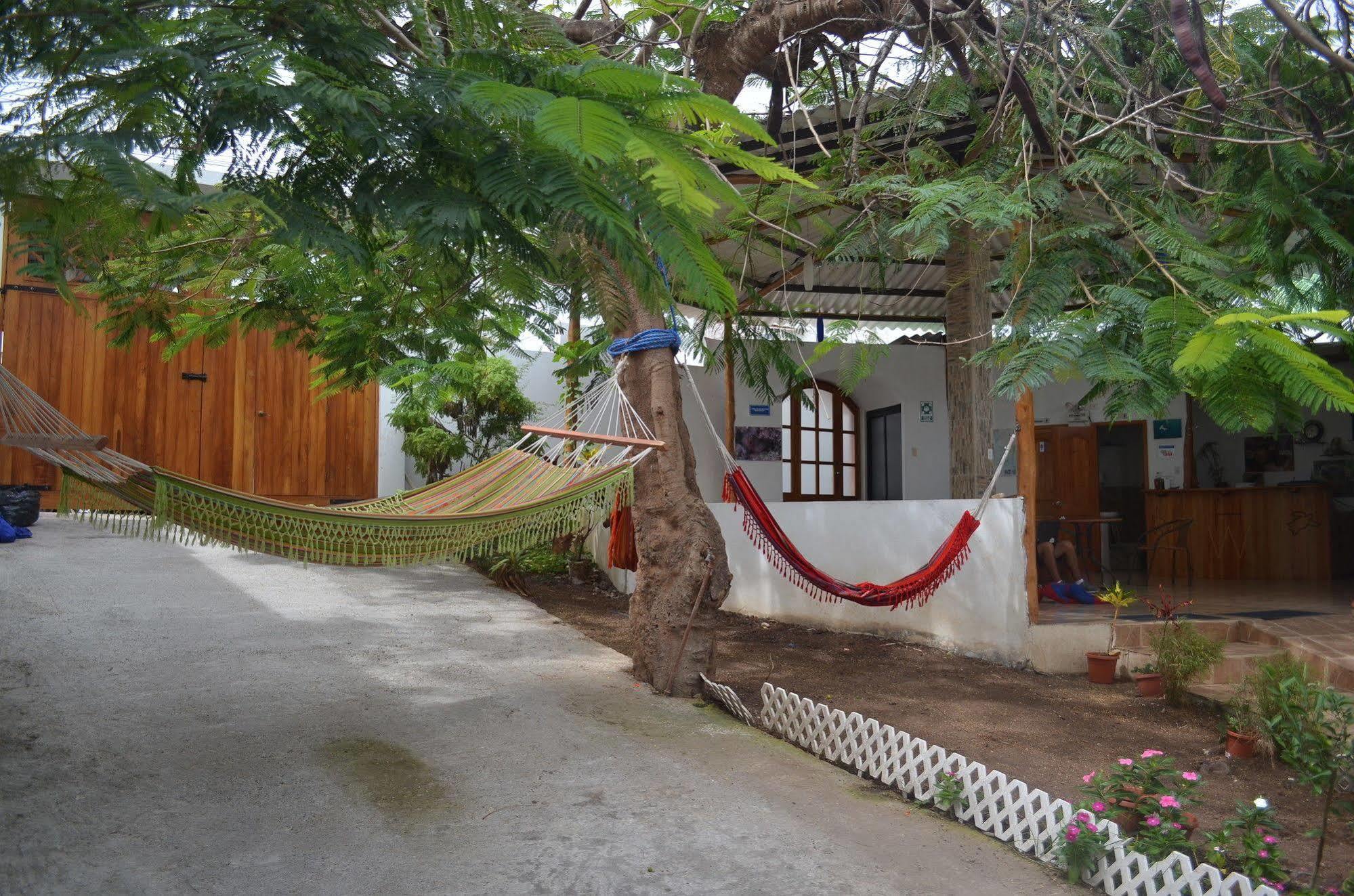 פורטו איורה Hostal White House Galapagos מראה חיצוני תמונה